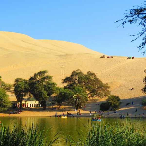 OASIS DE HUACACHINA – ICA