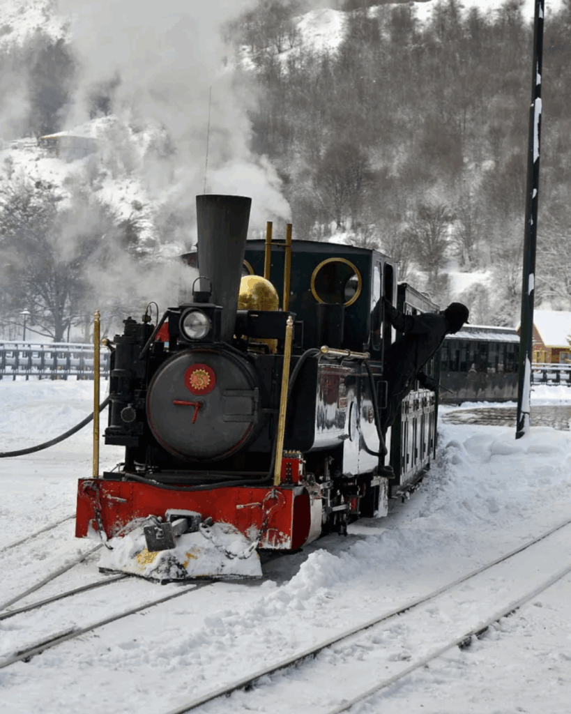 patagonia enero 2026